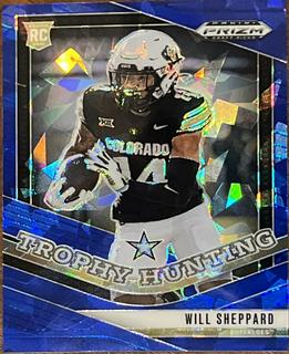 Will Sheppard