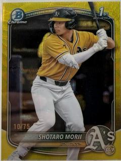 Shotaro Morii