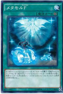 Metamorformation TDIL-JP060