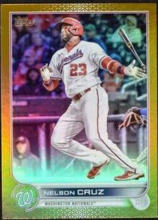 Nelson Cruz