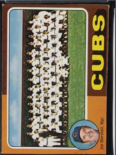 Cubs Team