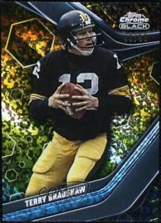 Terry Bradshaw