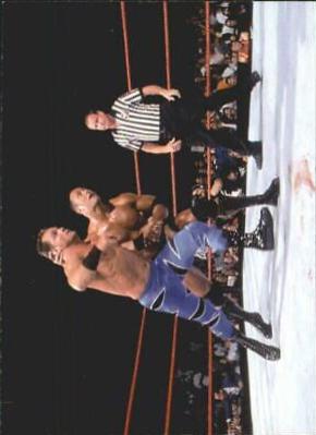 Crippling The Crippler #45 Wrestling Cards 2000 WWF Rock Solid
