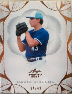 David Shields