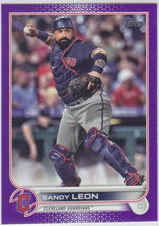 Sandy Leon