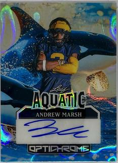 Andrew Marsh