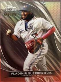 Vladimir Guerrero Jr.