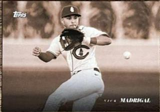 Nick Madrigal