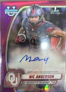 Nic Anderson