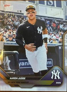 Aaron Judge