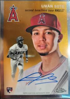 Livan Soto
