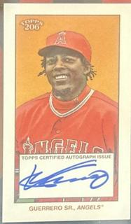 Vladimir Guerrero Sr