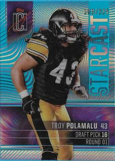 Troy Polamalu