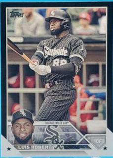 Luis Robert
