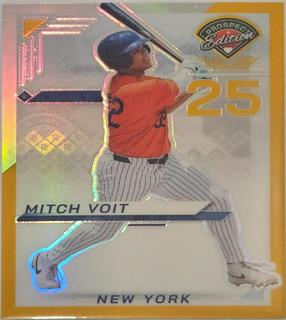 Mitch Voit
