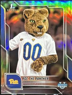 Roc The Panther