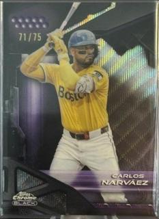 Carlos Narvaez