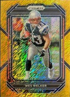 Wes Welker