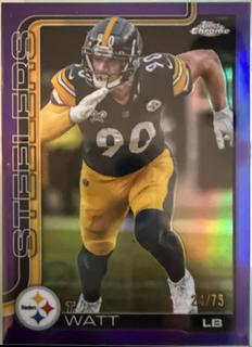 T.J. Watt