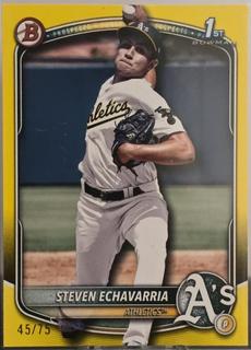 Steven Echavarria