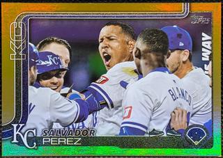 Salvador Perez