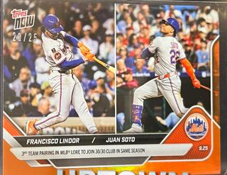 Francisco Lindor / Juan Soto