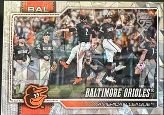 Team Card