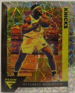 Mitchell Robinson