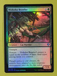 Nishoba Brawler
