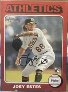 Joey Estes