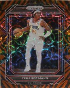 Terance Mann