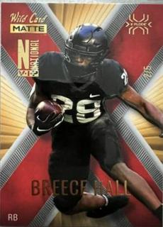 Breece Hall