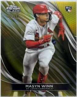 Masyn Winn