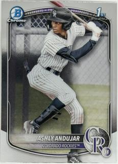 Ashly Andujar