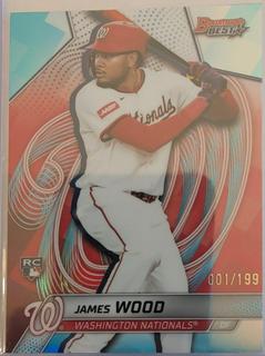 James Wood