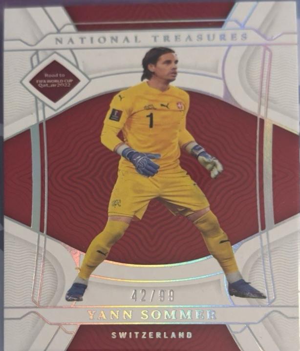 Yann Sommer #139