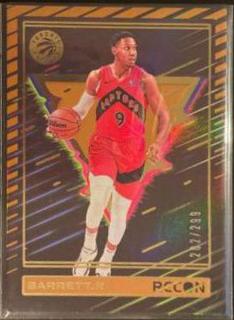 RJ Barrett