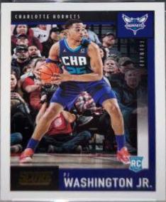 PJ Washington Jr.