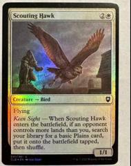 Scouting Hawk [Foil] #41