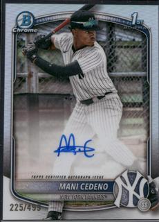 Mani Cedeno