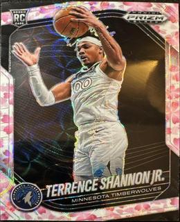 Terrence Shannon Jr.