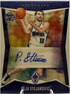 Peja Stojakovic