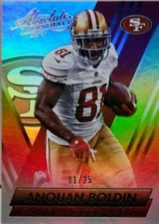Anquan Boldin