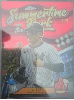 Juan Soto
