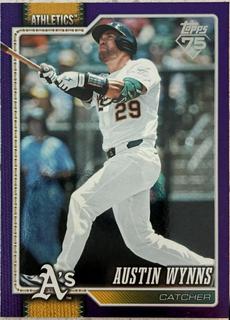 Austin Wynns