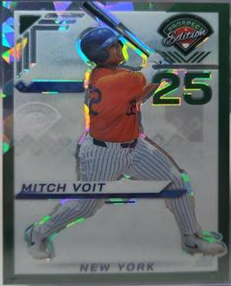 Mitch Voit