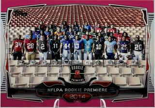 2014 NFLPA Rookie Premiere