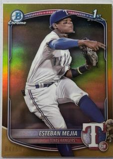 Esteban Mejia