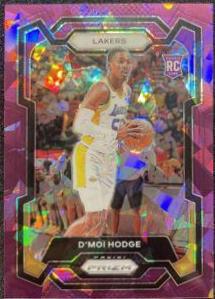 D'Moi Hodge
