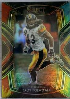 Troy Polamalu
